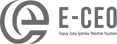 E-CEO